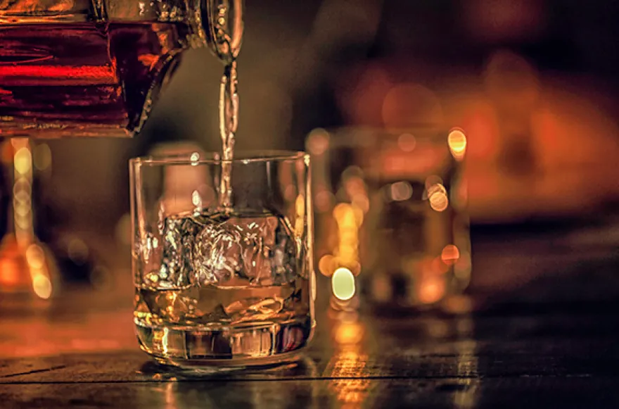 Whisky Tasting Hamburg (2,5 Stunden)