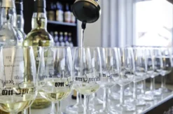 Whisky Tasting München (8 High End Sorten)