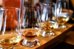 Whisky Tasting Stuttgart (6 Premium Sorten)