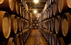 Whisky Tasting Stuttgart (6 Premium Sorten)