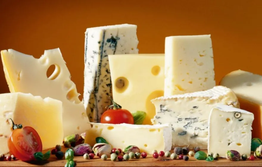 Whisky und Käse Verkostung Düsseldorf
