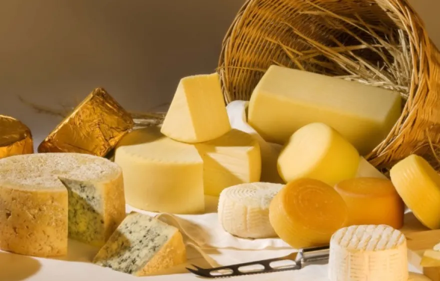 Whisky und Käse Verkostung Düsseldorf