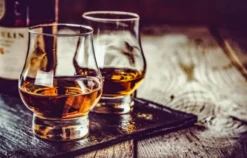 Whisky und Käse Verkostung Düsseldorf