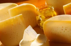 Whisky und Käse Verkostung Düsseldorf