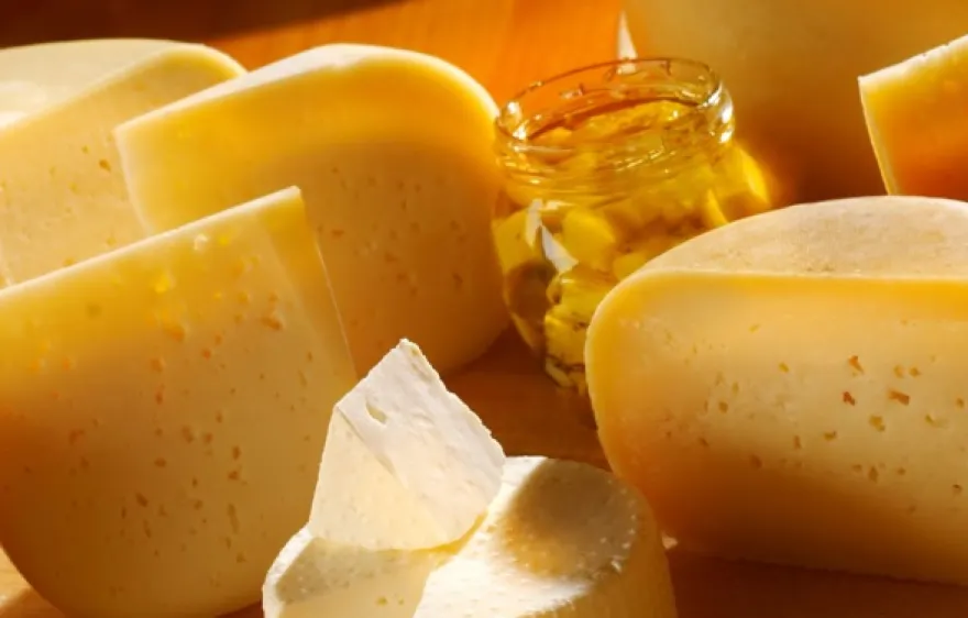 Whisky und Käse Verkostung Düsseldorf