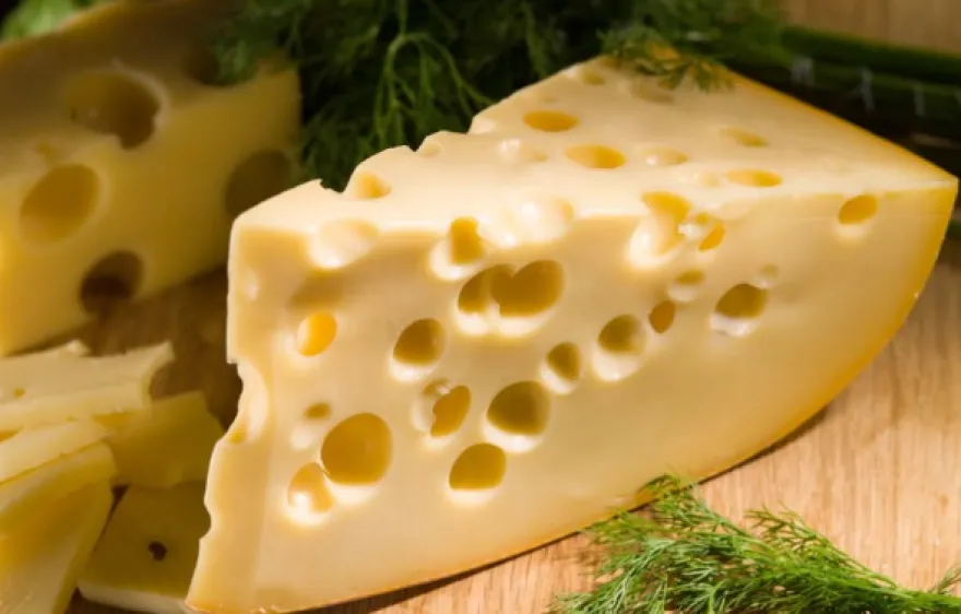 Whisky und Käse Verkostung Düsseldorf
