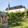 Wildkräuterwanderung durch die Weinberge Worms