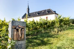 Wildkräuterwanderung durch die Weinberge Worms