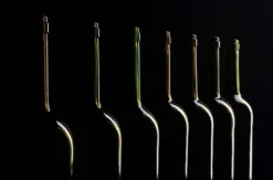 Wine in the Dark Wien