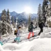 Winter Alpine Adventure Wilderswil