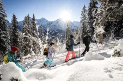 Winter Alpine Adventure Wilderswil