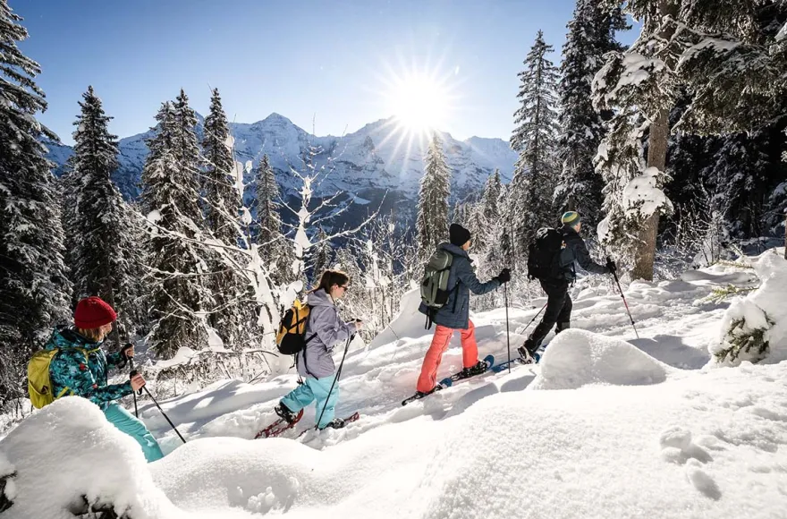 Winter Alpine Adventure Wilderswil