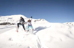 Winter Alpine Adventure Wilderswil