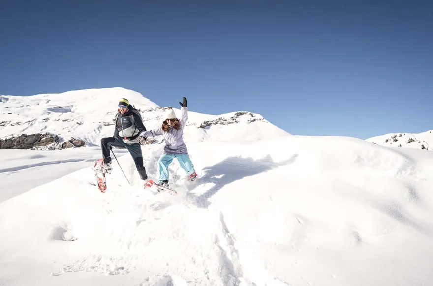 Winter Alpine Adventure Wilderswil