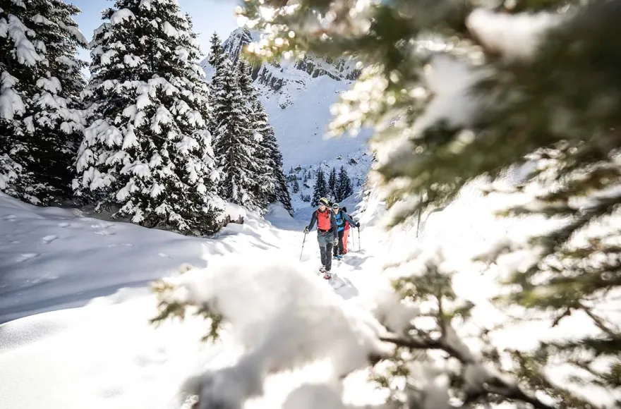 Winter Alpine Adventure Wilderswil