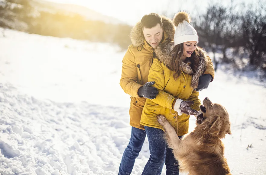 Winterurlaub mit Hund auf Sylt für 2 (1 Nacht)