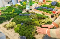 Workshop Bottrop (Moosbild)