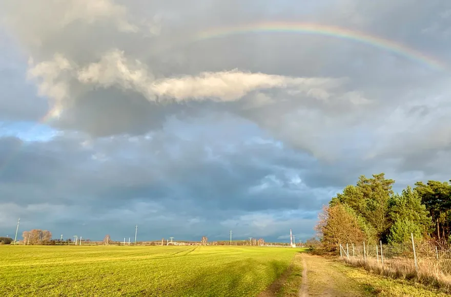 Yoga mit irischen Wolfshunden für 2 Blankenfelde-Mahlow