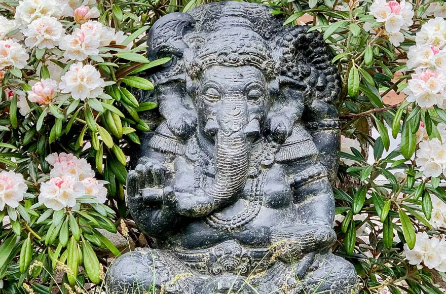 Yoga mit irischen Wolfshunden für 2 Blankenfelde-Mahlow