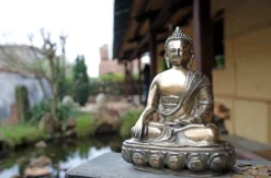 ZEN Meditations-Kurs mit Übernachtung Raum Halle