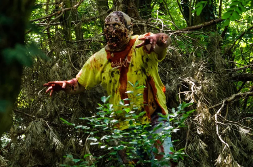 Zombie Survival Event
